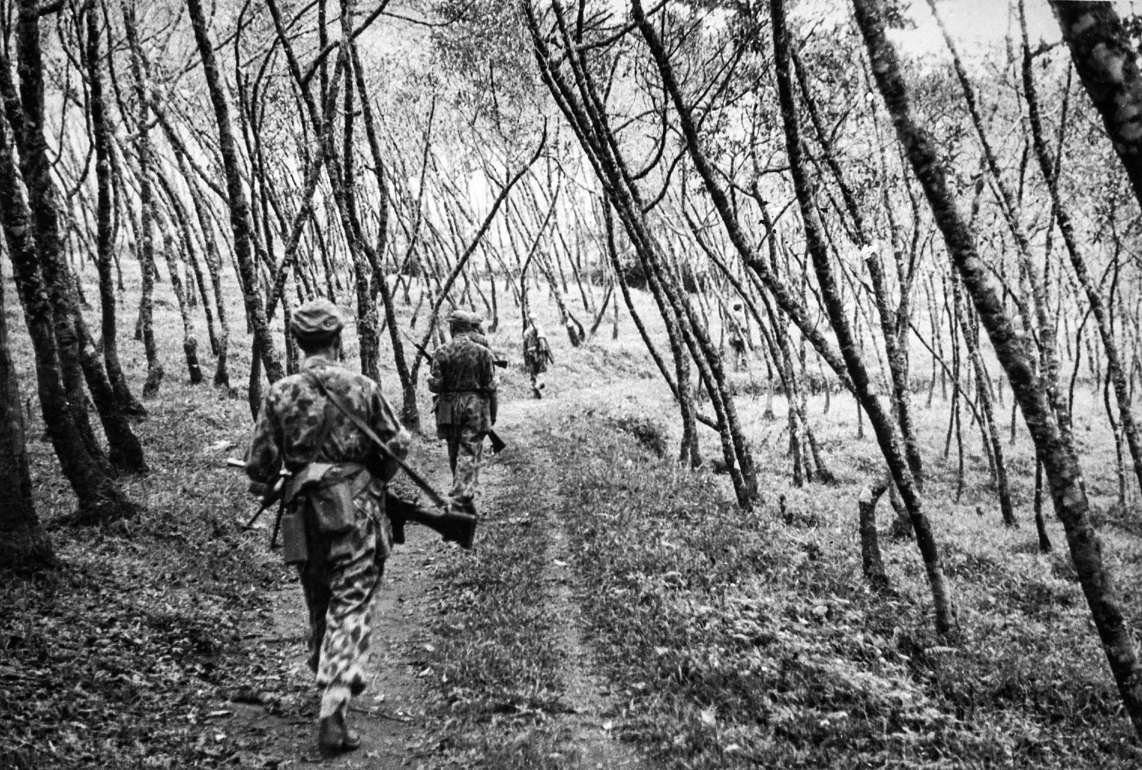 Patroli tentara Belanda melewati perkebunan kina, di lereng Pegunungan Arjuno, Jawa Timur (Batu, Juli 1947). Album prajurit Charles van der Heijden-Koleksi Museum Bronbeek.